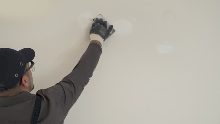 Best Commercial Painting  in Springville, IA